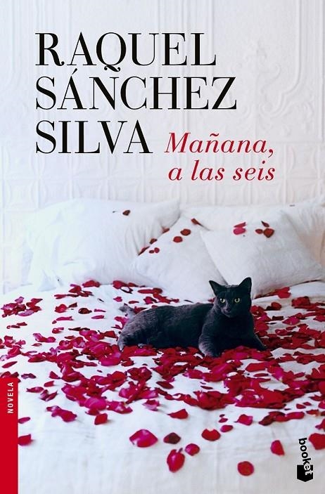 Mañana, a las seis | 9788408140498 | Raquel Sánchez Silva | Librería Castillón - Comprar libros online Aragón, Barbastro