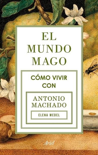 El mundo mago | 9788434422353 | Medel, Elena | Librería Castillón - Comprar libros online Aragón, Barbastro