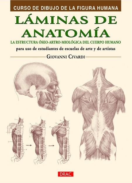 Láminas de anatomía | 9788498744798 | Civardi, Giovanni | Librería Castillón - Comprar libros online Aragón, Barbastro