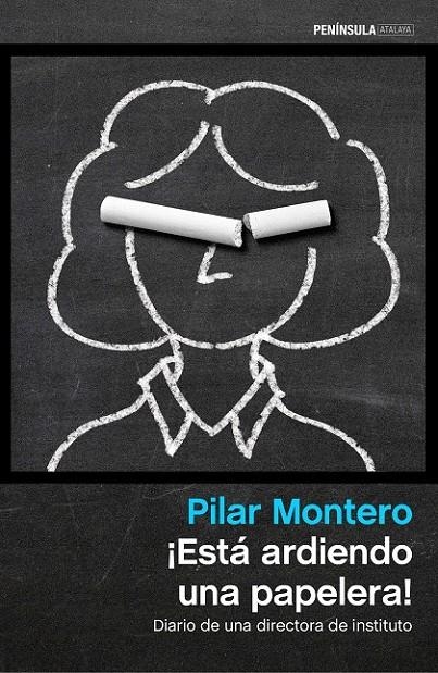 ¡Está ardiendo una papelera! | 9788499424354 | Montero, Pilar | Librería Castillón - Comprar libros online Aragón, Barbastro