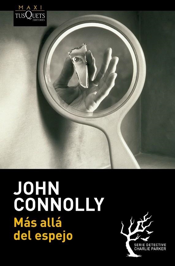 Más allá del espejo | 9788483838563 | Connolly, John | Librería Castillón - Comprar libros online Aragón, Barbastro