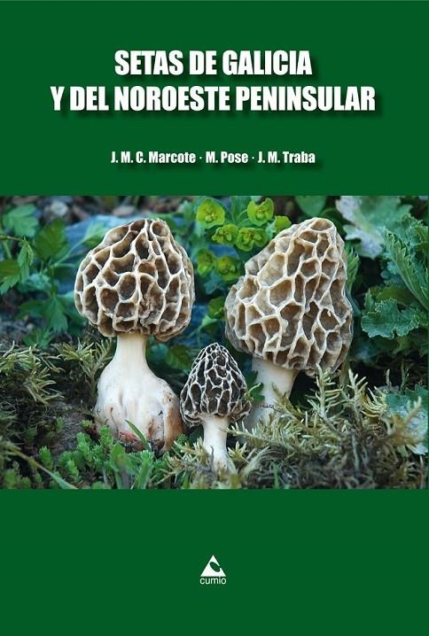 Setas de Galicia y del Noroeste Peninsular | 9788482894492 | Castro Marcote, José Manuel y otros | Librería Castillón - Comprar libros online Aragón, Barbastro