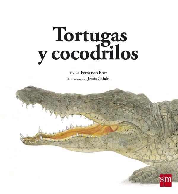 TORTUGAS Y COCODRILOS | 9788467582567 | Bort Misol, Fernando | Librería Castillón - Comprar libros online Aragón, Barbastro