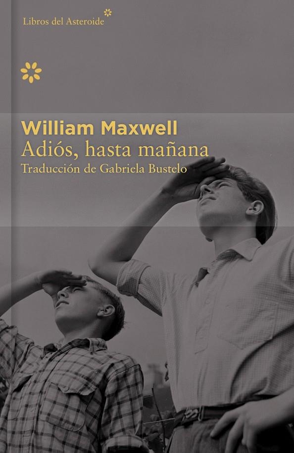 Adiós, hasta mañana - Colección Décimo Aniversario | 9788416213405 | Maxwell, William | Librería Castillón - Comprar libros online Aragón, Barbastro