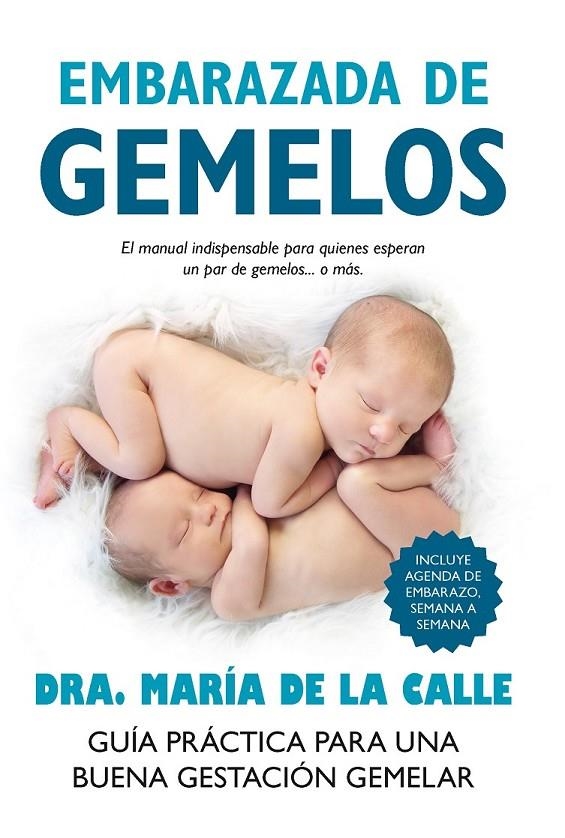 Embarazada de gemelos | 9788416002351 | Fernández, María de la Calle | Librería Castillón - Comprar libros online Aragón, Barbastro