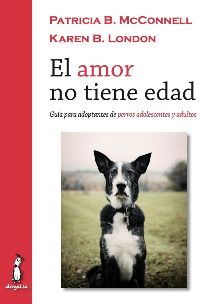 El amor no tiene edad | 9788494290022 | A.A.V.V. | Librería Castillón - Comprar libros online Aragón, Barbastro