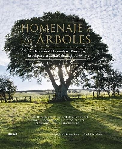 Homenaje a los árboles | 9788416138562 | Kingsbury, Noel; Jones, Andrea | Librería Castillón - Comprar libros online Aragón, Barbastro