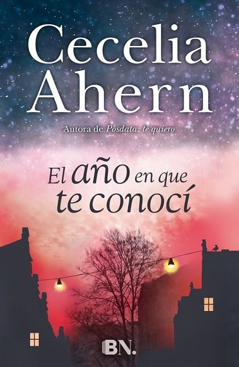 El año en que te conocí | 9788466657921 | Cecelia Ahern | Librería Castillón - Comprar libros online Aragón, Barbastro