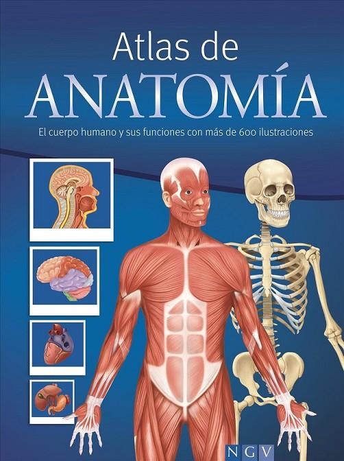 Atlas de anatomía | 9783625006114 | Varios autores | Librería Castillón - Comprar libros online Aragón, Barbastro