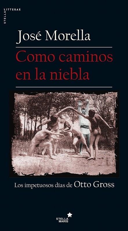 Como caminos en la niebla | 9788416541348 | Morella, José | Librería Castillón - Comprar libros online Aragón, Barbastro