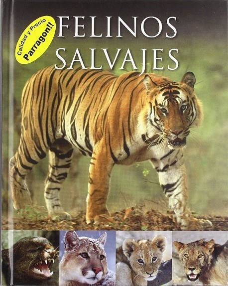 Felinos salvajes | 9781445453323 | Varios autores | Librería Castillón - Comprar libros online Aragón, Barbastro