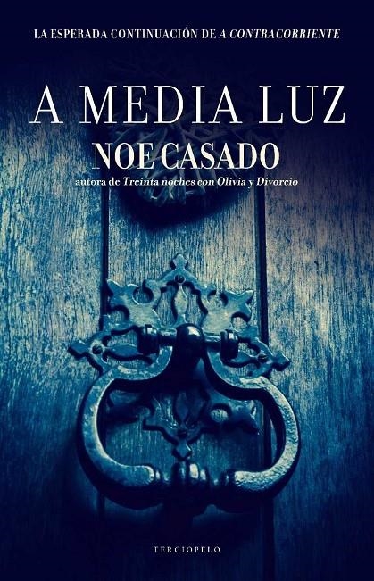 A media luz | 9788415952961 | Casado, Noe | Librería Castillón - Comprar libros online Aragón, Barbastro