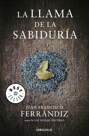 La llama de la sabiduría | 9788466332798 | Juan Francisco Ferrándiz | Librería Castillón - Comprar libros online Aragón, Barbastro