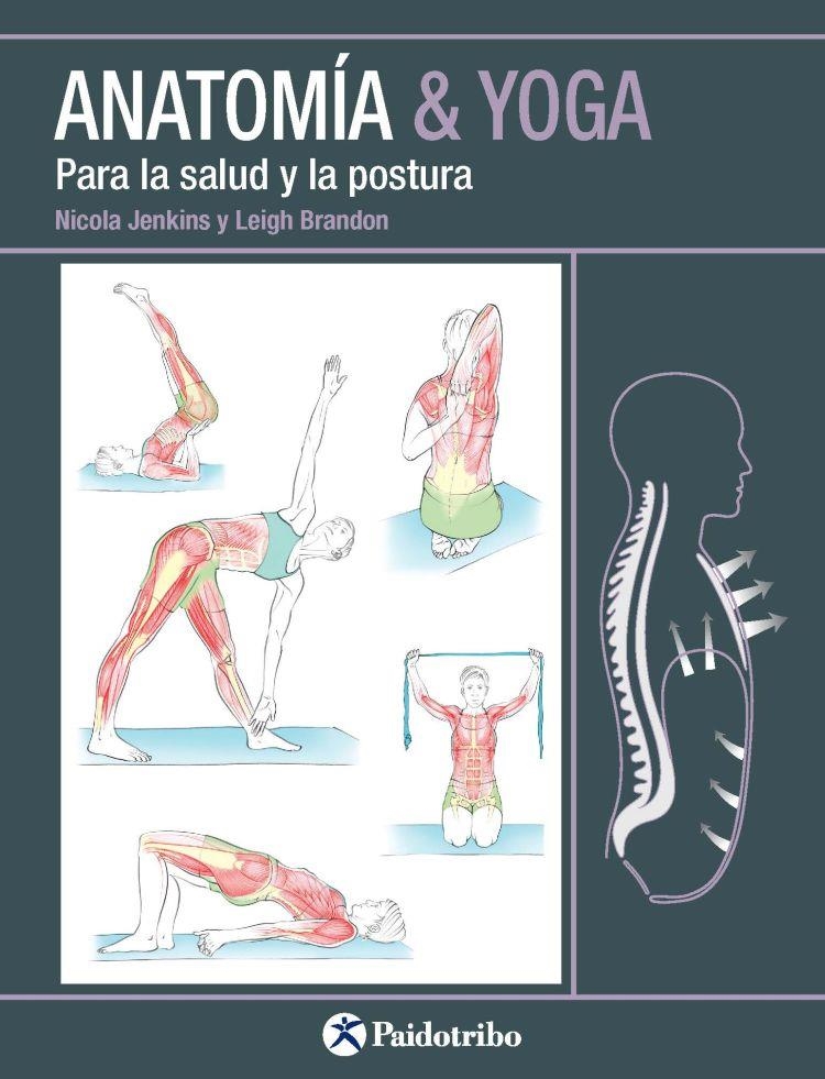 ANATOMÍA & YOGA Para la salud y la postura | 9788499106618 | Jenkins, Nicola / Brandon, Leigh | Librería Castillón - Comprar libros online Aragón, Barbastro