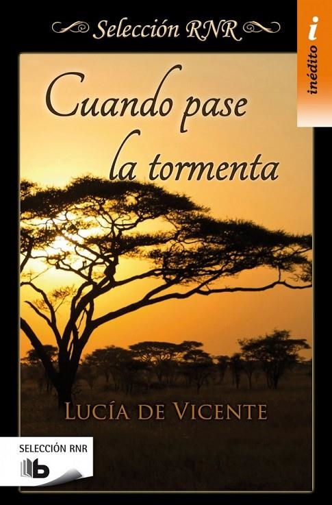 Cuando pase la tormenta (Selección RNR) | 9788490702543 | Lucía De Vicente | Librería Castillón - Comprar libros online Aragón, Barbastro