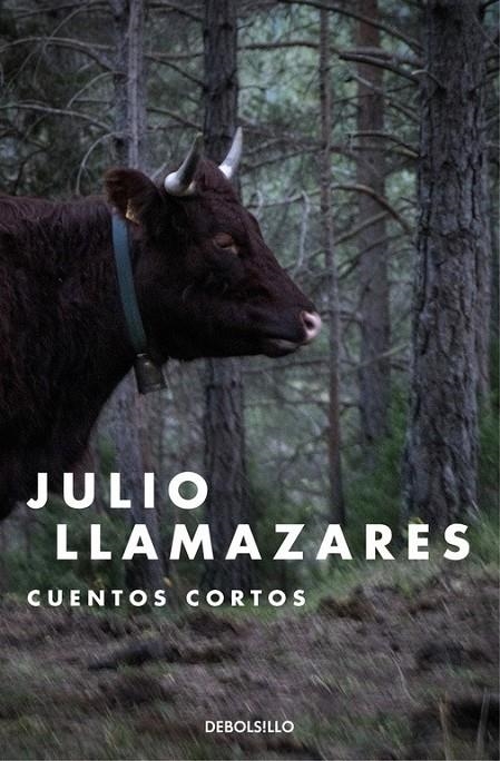 Cuentos cortos | 9788466335591 | Julio Llamazares | Librería Castillón - Comprar libros online Aragón, Barbastro