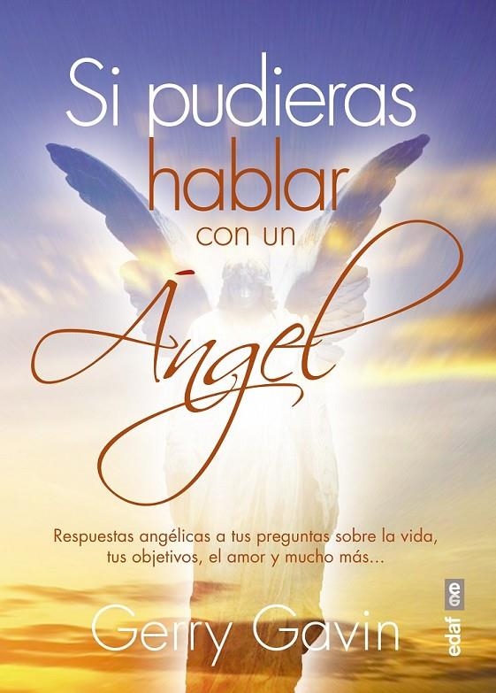 Si pudieras hablar con un Ángel | 9788441436510 | Gavin, Gerry | Librería Castillón - Comprar libros online Aragón, Barbastro