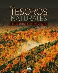 Los tesoros naturales del Pirineo Aragonés | 9788482166131 | Viñuales Cobos, Eduardo | Librería Castillón - Comprar libros online Aragón, Barbastro