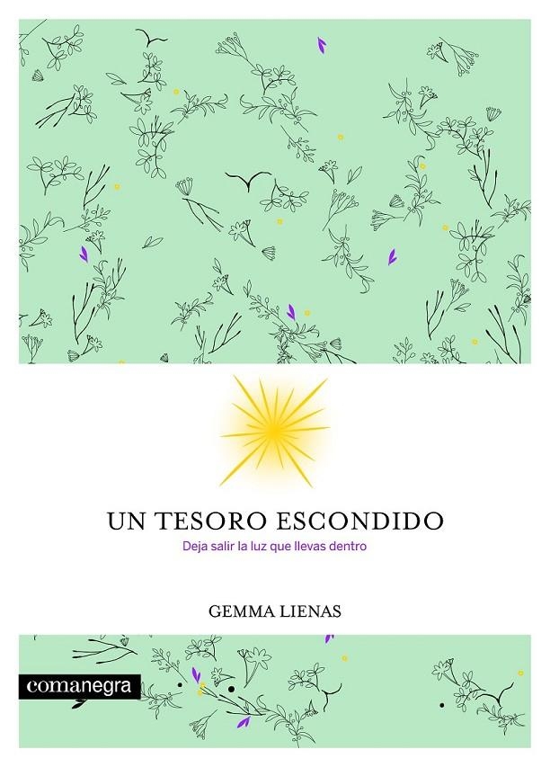 Un tesoro escondido | 9788416605354 | Lienas Massot, Gemma | Librería Castillón - Comprar libros online Aragón, Barbastro