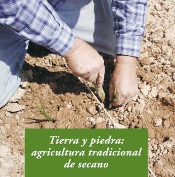 Tierra y piedra | 9788476288955 | Gros Santasusana, Alba | Librería Castillón - Comprar libros online Aragón, Barbastro