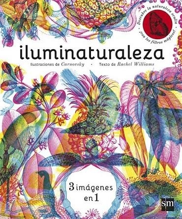 ILUMINATURALEZA | 9788467589955 | Williams, Rachel | Librería Castillón - Comprar libros online Aragón, Barbastro