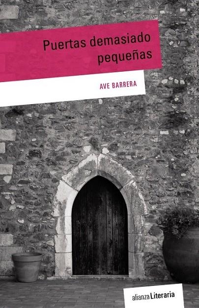 Puertas demasiado pequeñas | 9788491044987 | Barrera, Ave | Librería Castillón - Comprar libros online Aragón, Barbastro