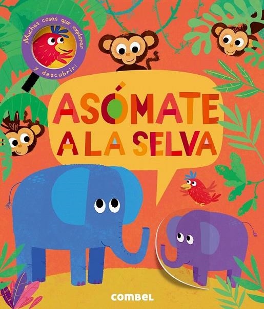 Asómate a la selva | 9788491011446 | Litton, Jonathan | Librería Castillón - Comprar libros online Aragón, Barbastro