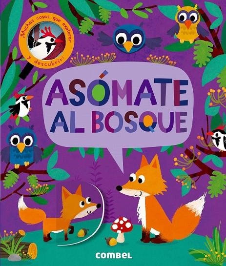 Asómate al bosque | 9788491011460 | Litton, Jonathan | Librería Castillón - Comprar libros online Aragón, Barbastro