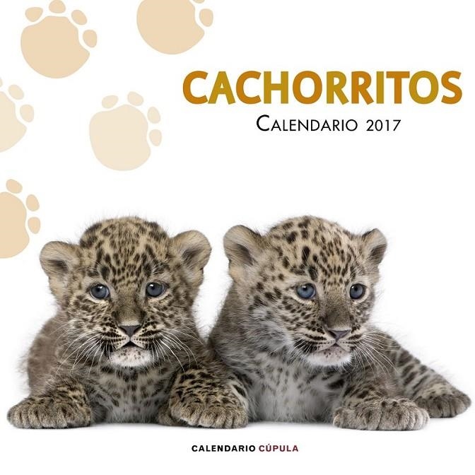 Calendario Cachorritos 2017 | 9788448022617 | VV.AA. | Librería Castillón - Comprar libros online Aragón, Barbastro