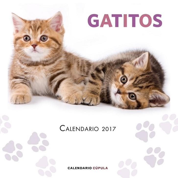 Calendario Gatitos 2017 | 9788448022594 | AA. VV. | Librería Castillón - Comprar libros online Aragón, Barbastro