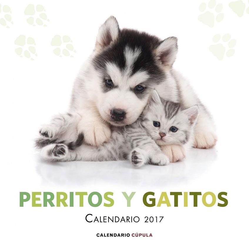 Calendario Perritos y gatitos 2017 | 9788448022600 | AA. VV. | Librería Castillón - Comprar libros online Aragón, Barbastro