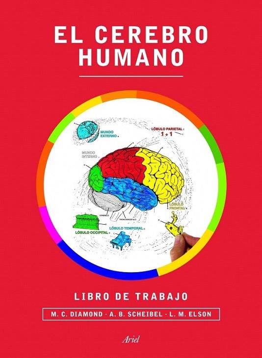 El cerebro humano : Libro de trabajo | 9788434417212 | Marian C. Diamond; A. B. Scheibel; Lawrence M. Elson | Librería Castillón - Comprar libros online Aragón, Barbastro