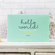 ALBUM PARA BEBE HELLO WORLD MY FIRST YEAR (ENG) - MR WONDERFUL | 8436547186976 | MR WONDERFUL | Librería Castillón - Comprar libros online Aragón, Barbastro