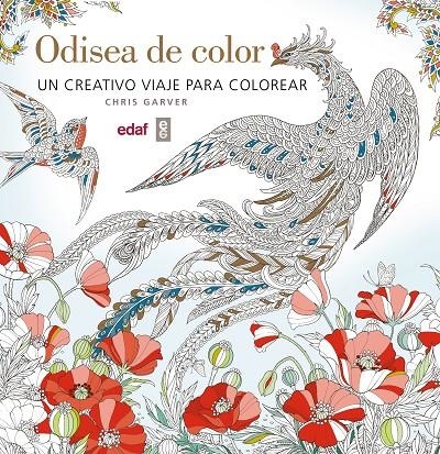 Odisea de color | 9788441437241 | Librería Castillón - Comprar libros online Aragón, Barbastro