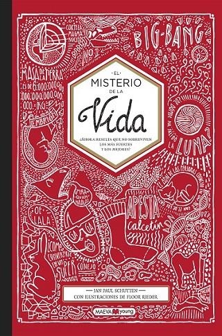 El misterio de la vida | 9788416690466 | Schutten, Jan Paul/Rieder, Flor | Librería Castillón - Comprar libros online Aragón, Barbastro