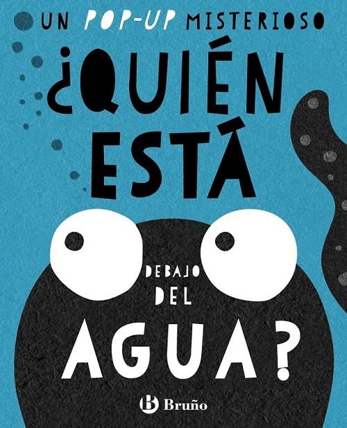 ¿Quién está debajo del agua? | 9788469607879 | Norris, Eryl/Mansfield, Andy | Librería Castillón - Comprar libros online Aragón, Barbastro