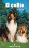 El collie | 9788425506840 | Barbaresi, Sara M. | Librería Castillón - Comprar libros online Aragón, Barbastro