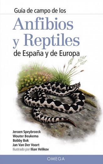 ANFIBIOS Y REPTILES DE ESPAÑA Y DE EUROPA | 9788428216647 | SPEYBROECK, JEROEN/BEUKEMA, WOUTER/BOK, BOBBY/VAN DER VOORT, JAN | Librería Castillón - Comprar libros online Aragón, Barbastro