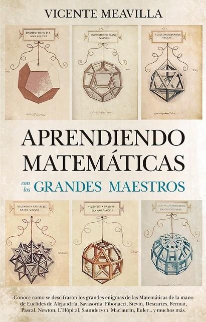 Aprendiendo matemáticas con los grandes maestros | 9788494608520 | Meavilla Seguí, Vicente | Librería Castillón - Comprar libros online Aragón, Barbastro