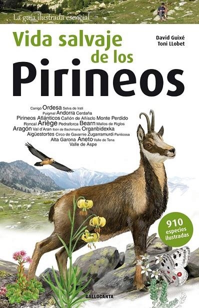 Vida salvaje de los Pirineos | 9788415885542 | Guixé Coromines, David | Librería Castillón - Comprar libros online Aragón, Barbastro