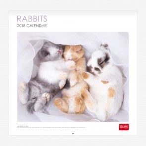 CALENDARIO PARED 2018 30x29 cm RABBITS CAL18004 | 8058093943683 | Librería Castillón - Comprar libros online Aragón, Barbastro