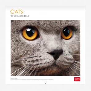 CALENDARIO PARED 2018 30x29 cm CATS CAL18011 | 8058093943751 | Librería Castillón - Comprar libros online Aragón, Barbastro