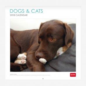 CALENDARIO PARED 2018 30x29 cm DOGS & CATS CAL18007 | 8058093943713 | Librería Castillón - Comprar libros online Aragón, Barbastro