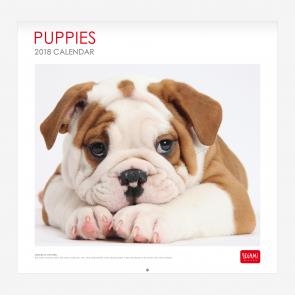 CALENDARIO PARED 2018 30x29 cm PUPPIES CAL18008 | 8058093943720 | Librería Castillón - Comprar libros online Aragón, Barbastro