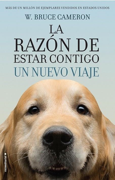 La razón de estar contigo : Un nuevo viaje | 9788416867912 | Cameron, W. Bruce | Librería Castillón - Comprar libros online Aragón, Barbastro