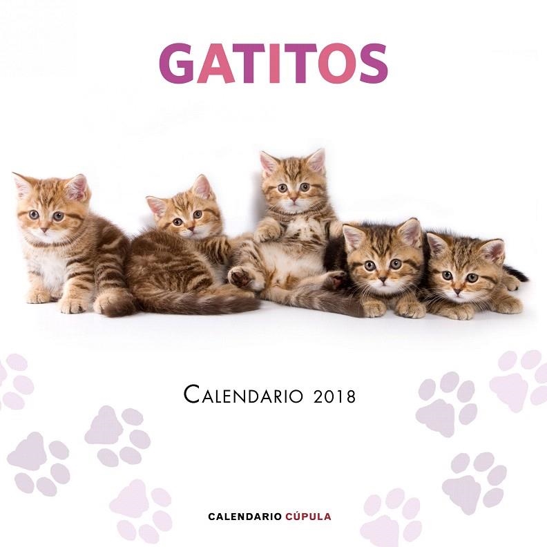 Calendario Gatitos 2018 | 9788448023454 | AA. VV. | Librería Castillón - Comprar libros online Aragón, Barbastro