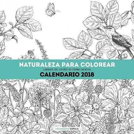 Calendario Naturaleza para colorear 2018 | 9788448023553 | AA. VV. | Librería Castillón - Comprar libros online Aragón, Barbastro