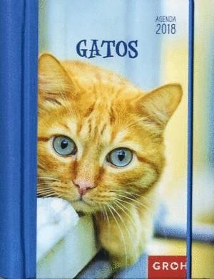 2018 AGENDA GROH GATOS | 8437012673618 | Librería Castillón - Comprar libros online Aragón, Barbastro