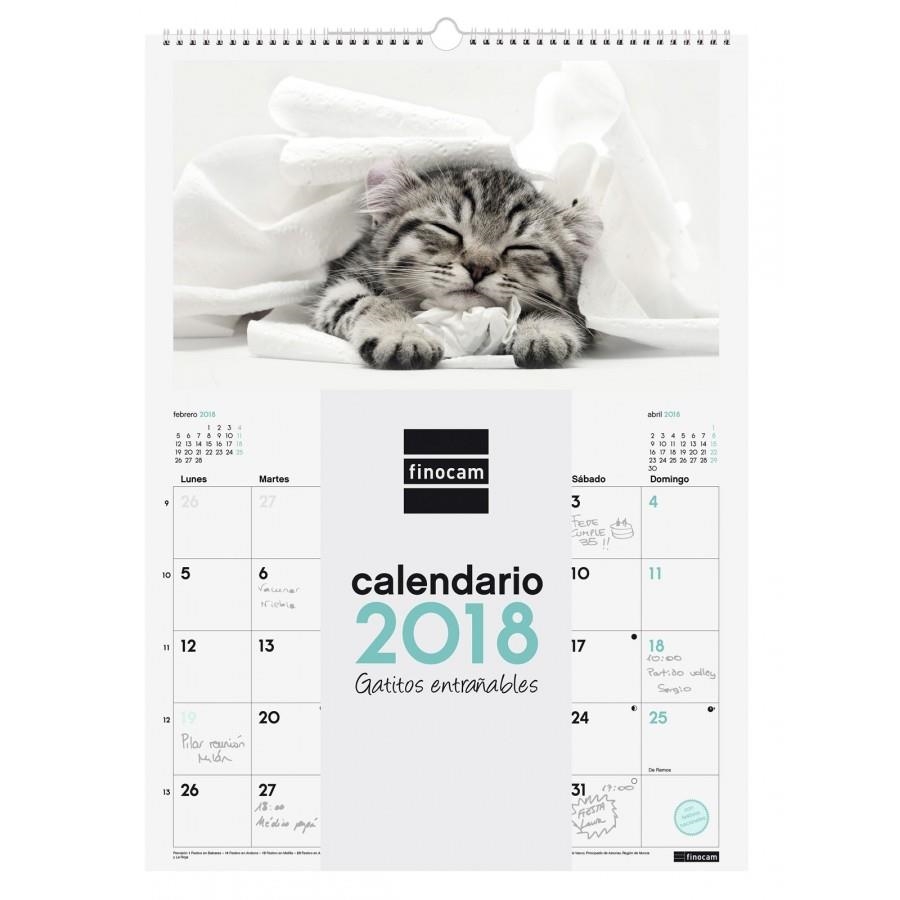 CALENDARIO FINOCAM 780551718 PARED ESPIRAL 2018 GATITOS ENTRAÑABLES+ | 8422952155676 | Librería Castillón - Comprar libros online Aragón, Barbastro