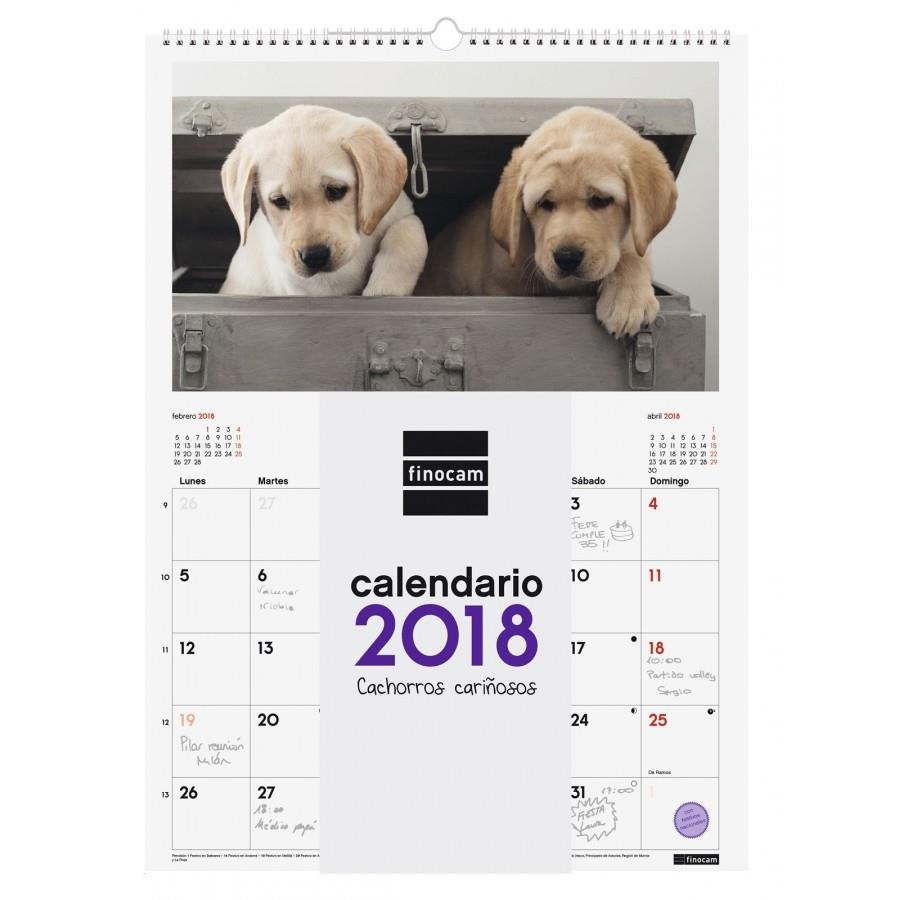 CALENDARIO FINOCAM 780551518 PARED ESPIRAL 2018 CACHORROS+ | 8422952155638 | Librería Castillón - Comprar libros online Aragón, Barbastro